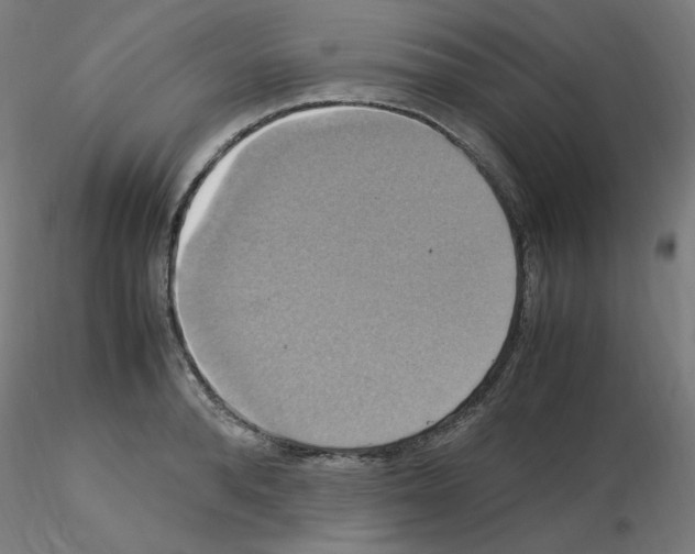 X0000115560896200912181614