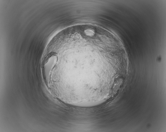 X0000115560899200912181614