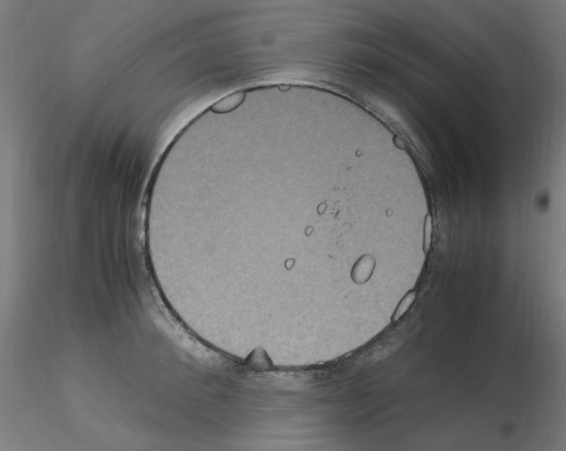 X0000115560900200912181614