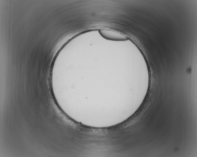 X0000115560901200912181614