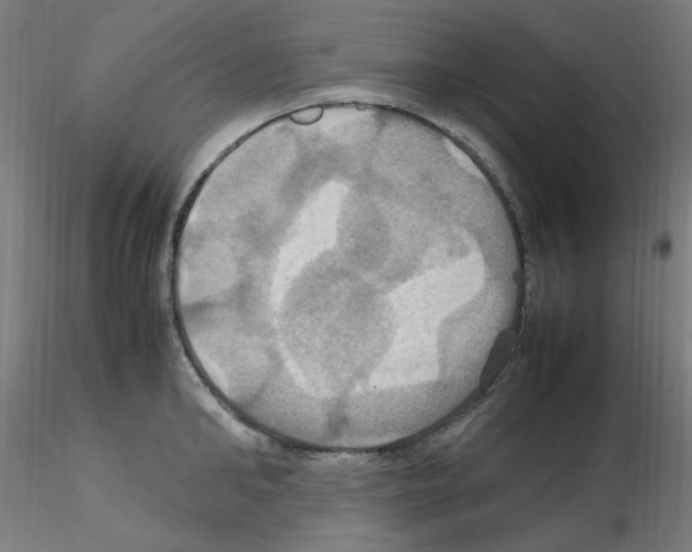 X0000115560902200912181614