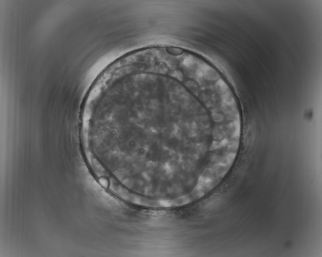 X0000115560903200912181614