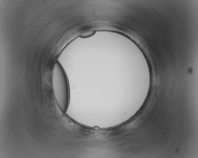 X0000115560905200912181614