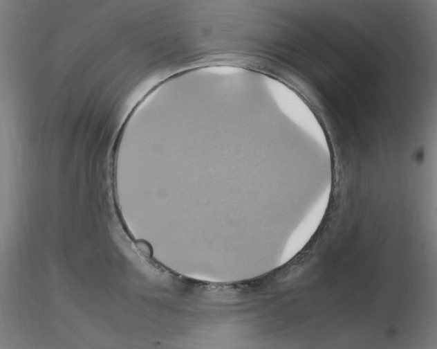 X0000115560907200912181614