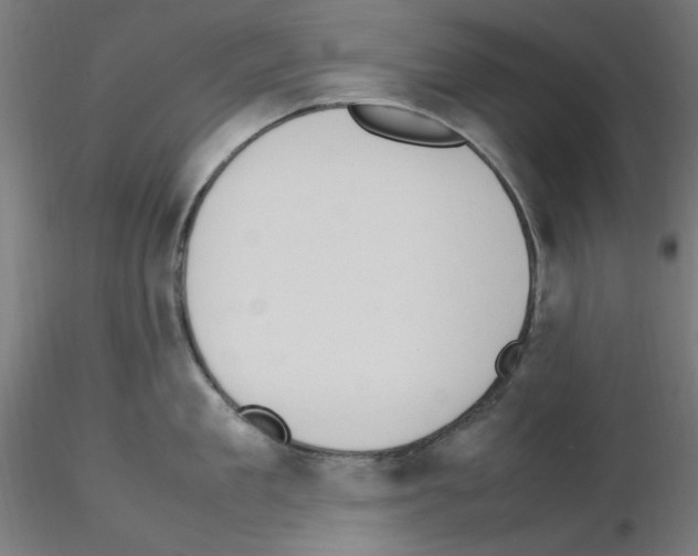 X0000115560909200912181614