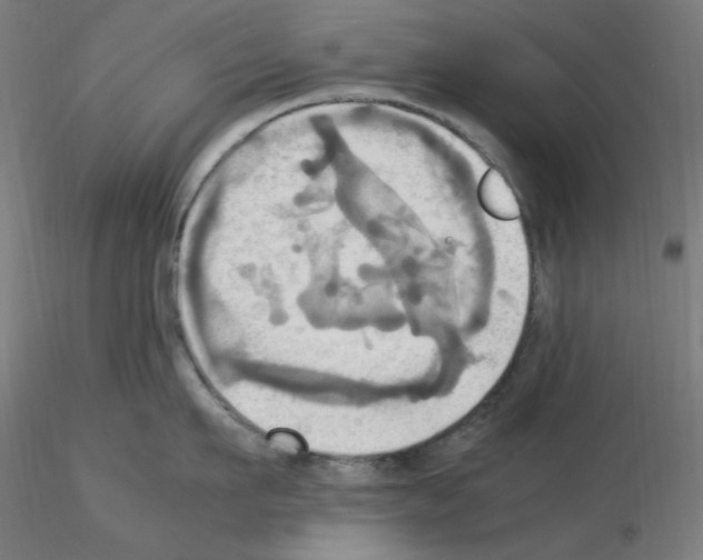 X0000115560911200912181614