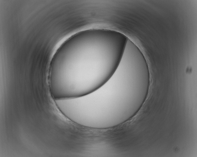 X0000115560912200912181614