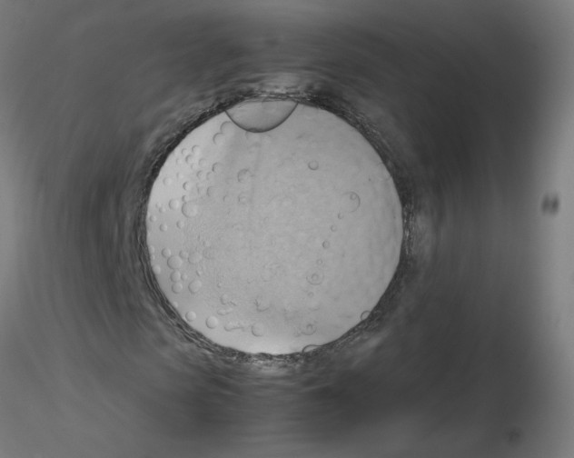 X0000115560913200912181613