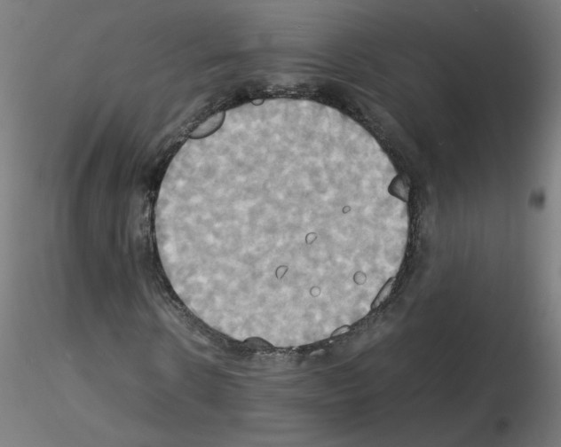 X0000115560914200912181613