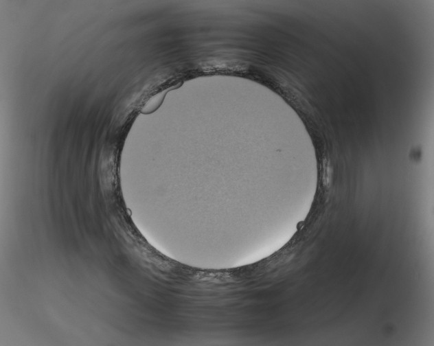 X0000115560915200912181613