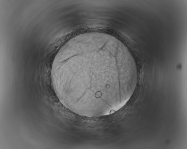 X0000115560917200912181613