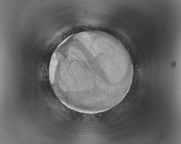 X0000115560918200912181613