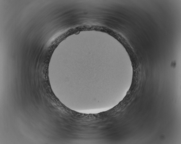 X0000115560919200912181613