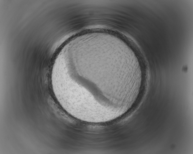 X0000115560921200912181613