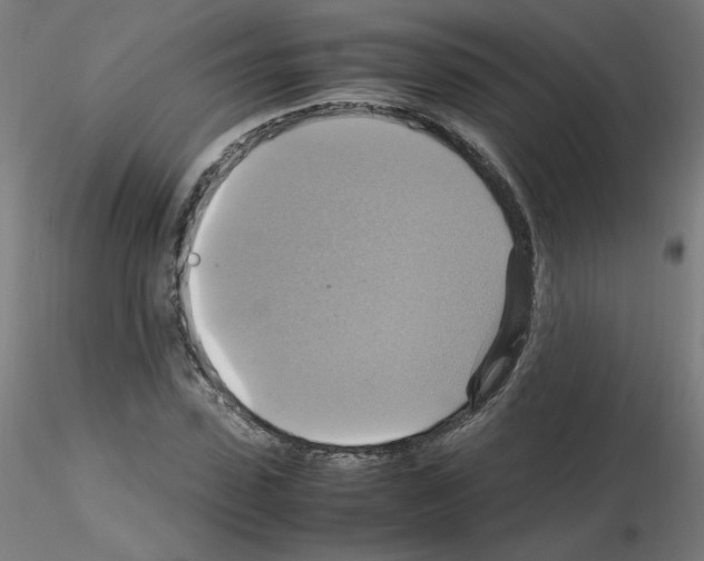 X0000115560923200912181613