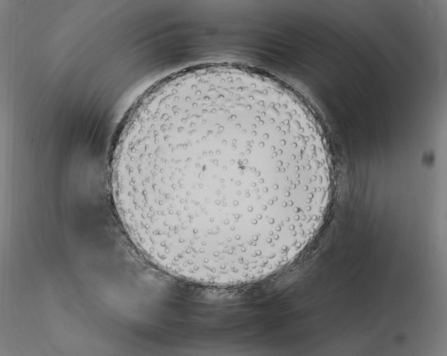 X0000115560927200912181613