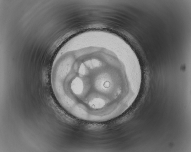 X0000115560929200912181613