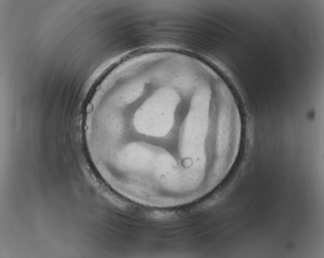 X0000115560933200912181614