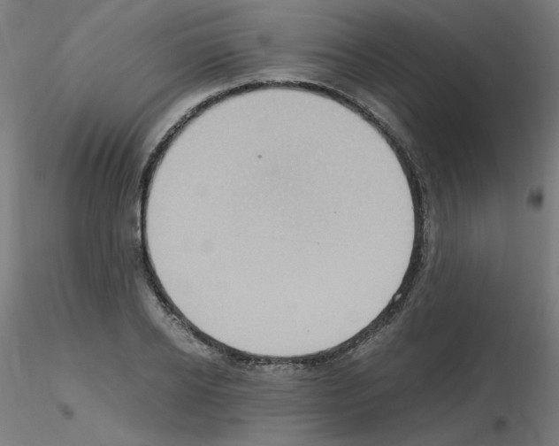 X0000115560934200912181614