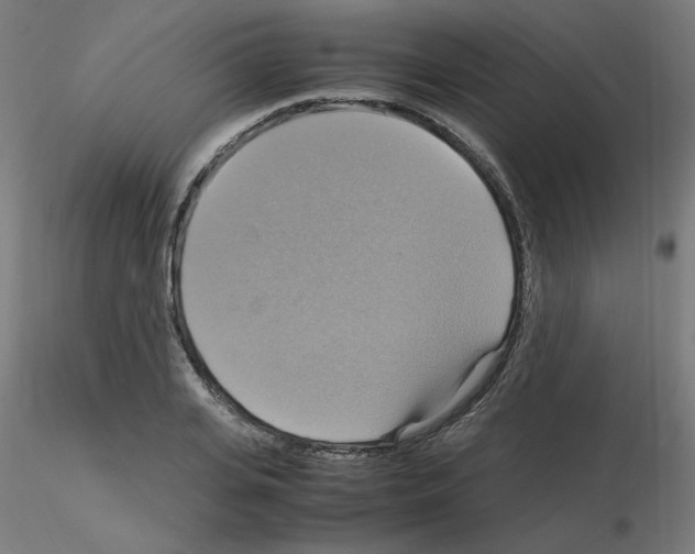 X0000115560935200912181614