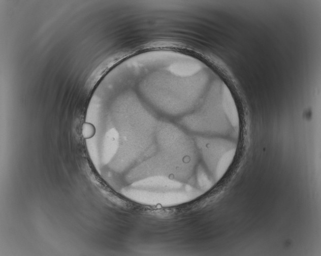 X0000115560937200912181614