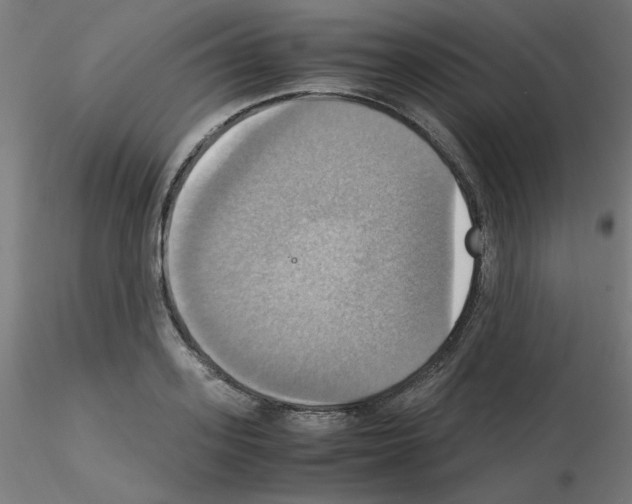 X0000115560939200912181614