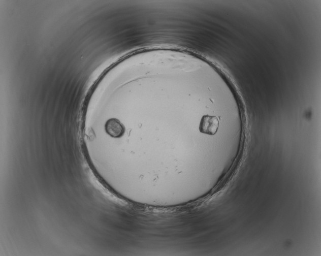 X0000115560941200912181614