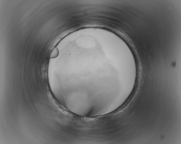 X0000115560945200912181614