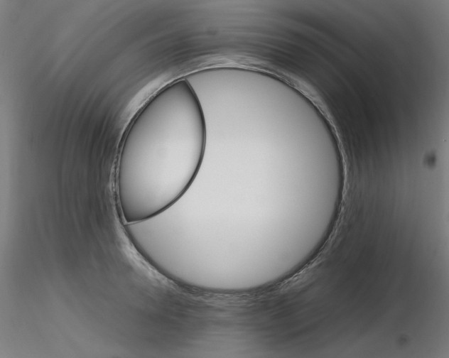 X0000115560946200912181614