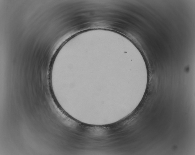 X0000115560947200912181614