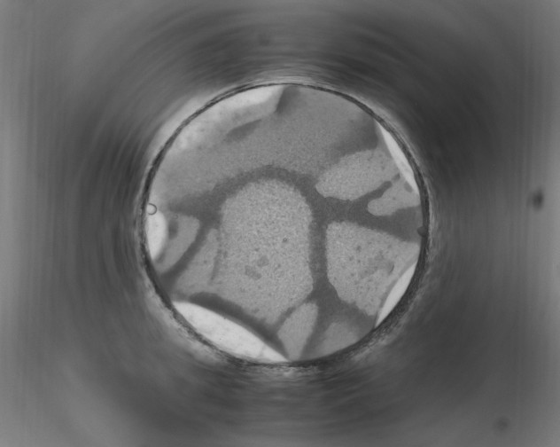 X0000115560949200912181614