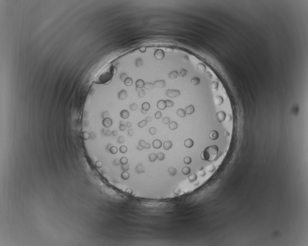 X0000115560953200912181614