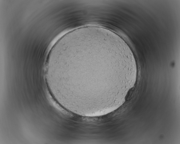 X0000115560955200912181614