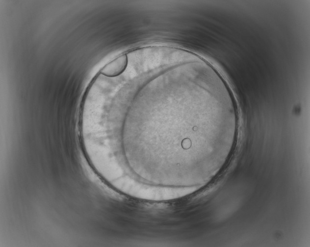 X0000115560957200912181614