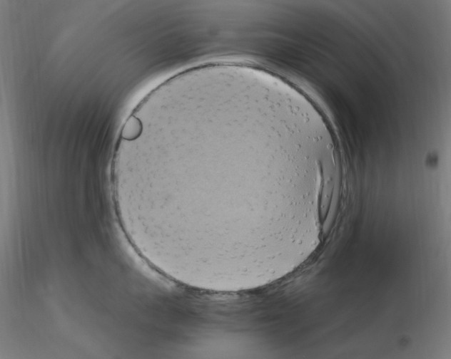 X0000115560959200912181614