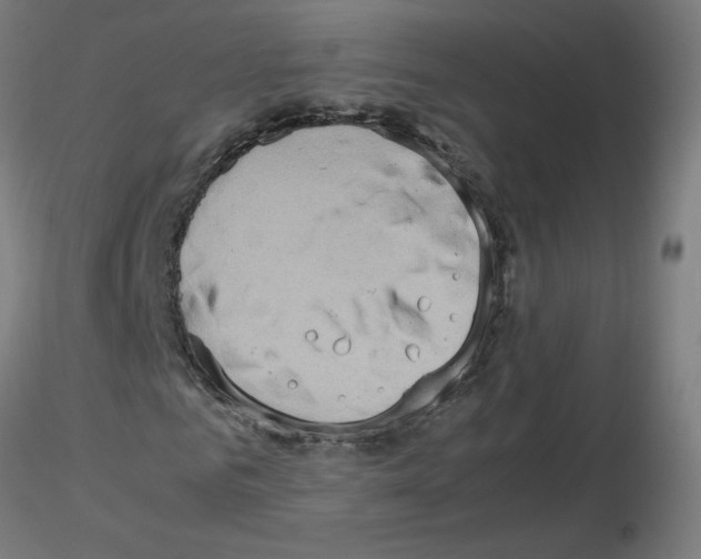 X0000115560961200912181613