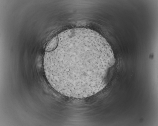 X0000115560962200912181613