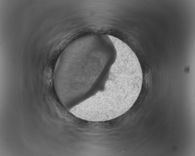 X0000115560963200912181613