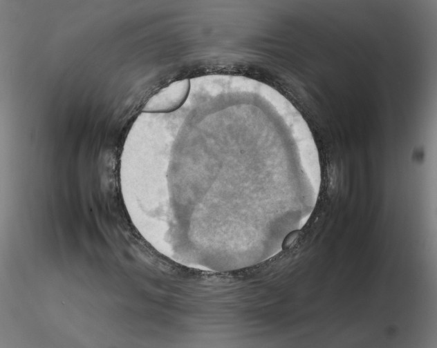 X0000115560964200912181613