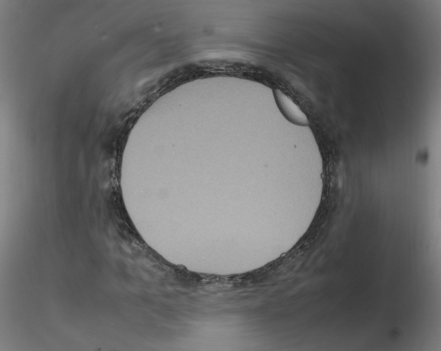 X0000115560965200912181613