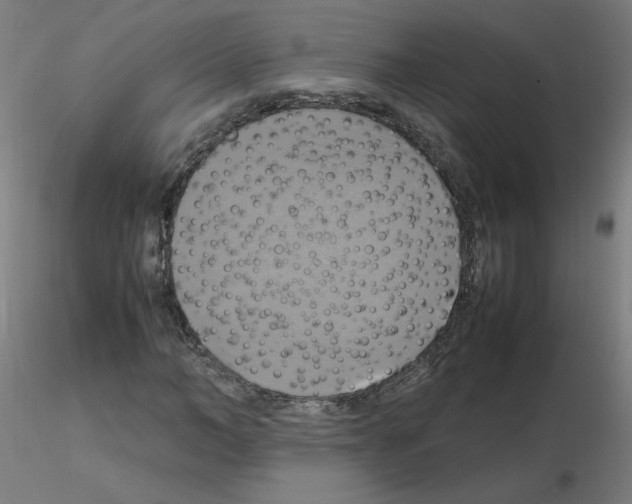 X0000115560966200912181613