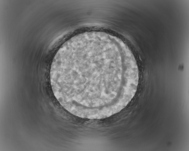 X0000115560967200912181613