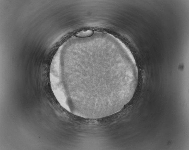 X0000115560968200912181613