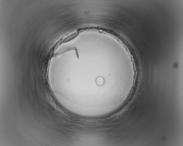 X0000115560969200912181613