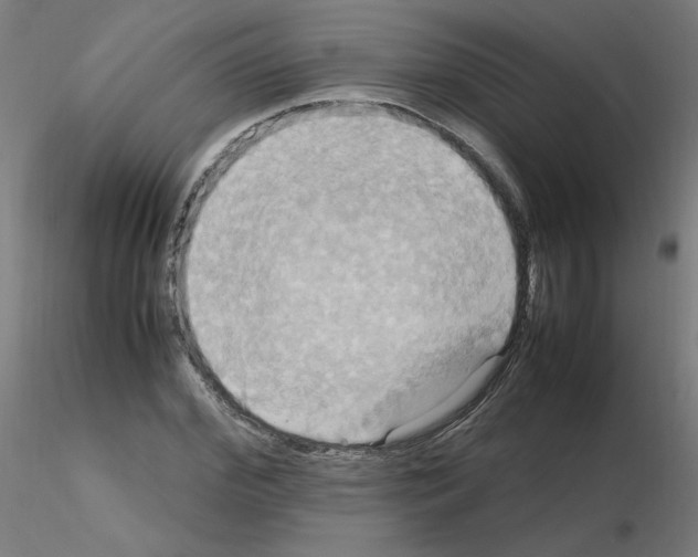 X0000115560972200912181613