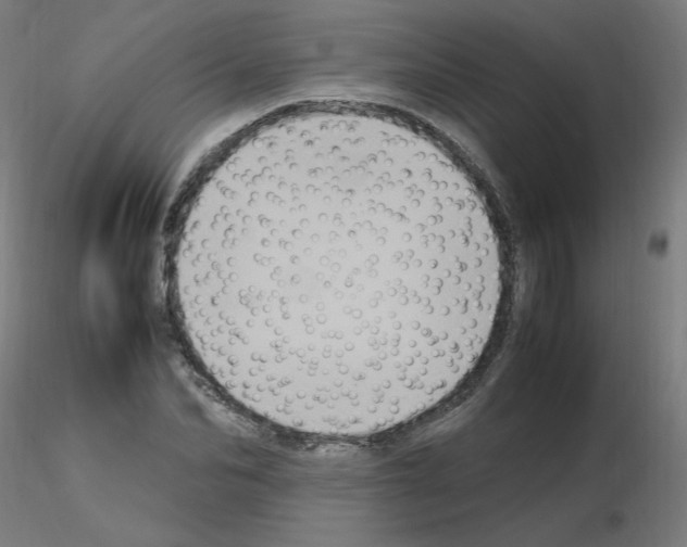 X0000115560974200912181613