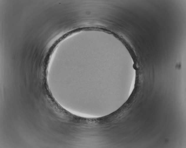 X0000115560975200912181613