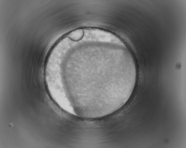 X0000115560976200912181613