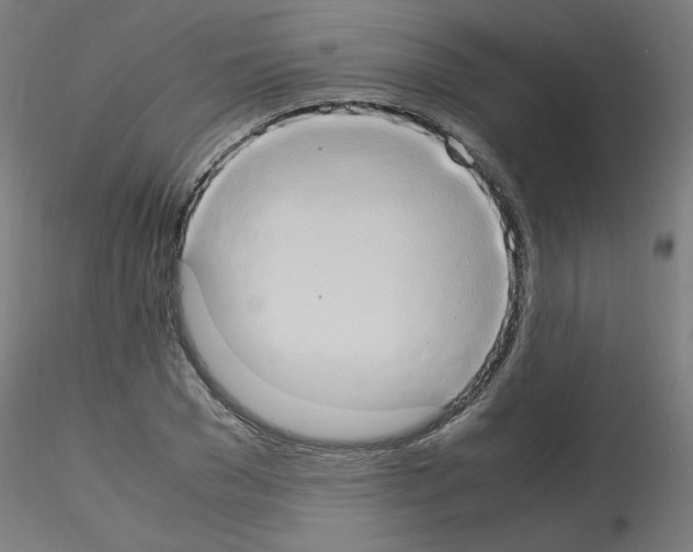 X0000115560977200912181613