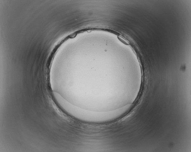 X0000115560981200912181613